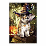 Full Drill - 5D Diamond Painting Kits Curious Cat Wears
