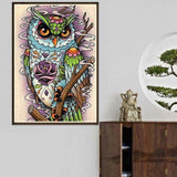 Full Drill - 5D DIY Diamond Painting Kits Colorful Cool