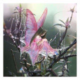 Full Drill - 5D DIY Diamond Painting Kits Fantastic Beauty