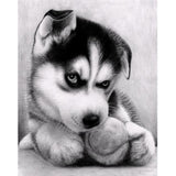 Full Drill - 5D DIY Diamond Painting Kits Grey Funny Dog
