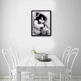 Full Drill - 5D DIY Diamond Painting Kits Grey Funny Dog