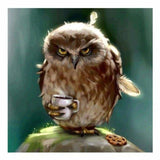 Full Drill - 5D DIY Diamond Painting Kits Watercolor Owl