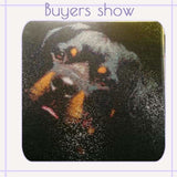 Special Dog Rottweiler Pictures Full Drill - 5D Diy Diamond