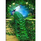 Special Embroidery Animal Peacock Full Drill - 5D DIY