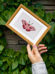 Butterfly dreams 12 SET - Diamond Painting