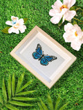 Butterfly dreams 12 SET - Diamond Painting