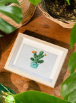 Plant Joy 12 SET - Diamond Painting