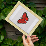 Butterflies Dreamly Colours 12 SET - Diamond Painting