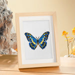 Butterflies Dreamly Colours 12 SET - Diamond Painting