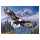 Animal Eagle Portrait Full Drill - 5D Diy Diamond Painting 