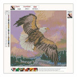 Full Drill - 5D DIY Diamond Painting Kits Popular Watercolor