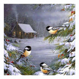 New Bird Full Drill - 5D Diy Diamond Painting Kits QB6457