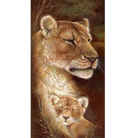 Lion Family