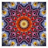 Full Drill - 5D DIY Diamond Painting Kits Special Abstract Mandala - NEEDLEWORK KITS