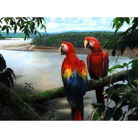 Full Square Drill Cute Parrot Full Drill - 5D Diy  Diamond Painting Kits NA0092 - NEEDLEWORK KITS