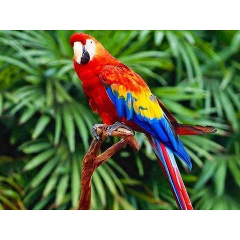 Full Square Drill Cute Parrot Full Drill - 5D Diy Embroidery Diamond Painting Kits NA0093 - NEEDLEWORK KITS