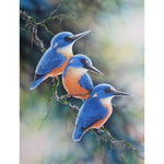 Azure Kingfishers - Full Drill Diamond Painting Kit - NEEDLEWORK KITS