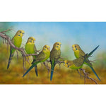 Budgies - Full Drill Diamond Painting Kit - NEEDLEWORK KITS