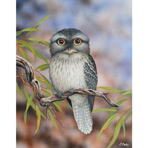 Tawny Frogmouth - Full Drill Diamond Painting Kit - NEEDLEWORK KITS