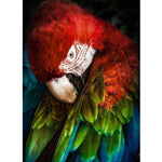 Full Drill - 5D DIY Diamond Painting Kits Cartoon Cool Parrot - NEEDLEWORK KITS