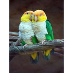 Full Drill - 5D DIY Diamond Painting Kits Loving Cute Parrots - NEEDLEWORK KITS