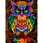 Colourful Owl - NEEDLEWORK KITS