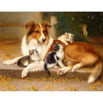 Full Drill - 5D DIY Diamond Painting Kits Warm Dog Cats Friendly - NEEDLEWORK KITS