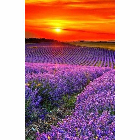 Dream Lavender Fields Full Drill - 5D Diy Diamond Painting 