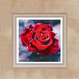 Dream Red Rose Full Drill - 5D Diy Diamond Painting Flowers 