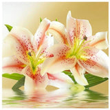 Full Drill - 5D DIY Diamond Painting Kits Beautiful Pink Lily - NEEDLEWORK KITS