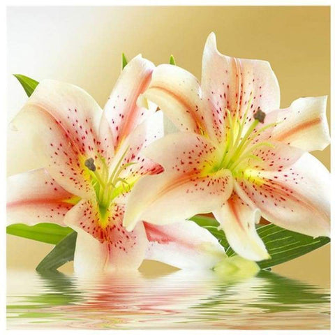 Full Drill - 5D DIY Diamond Painting Kits Beautiful Pink Lily - NEEDLEWORK KITS