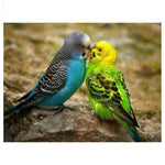 Full Drill - 5D DIY Diamond Painting Kits Loving Parrots Resin - NEEDLEWORK KITS