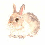 Full Drill - 5D Diamond Painting Kits Cartoon Cute Rabbit