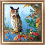 Full Drill - 5D Diamond Painting Kits Cool Owl On The 