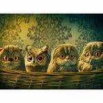 Full Drill - 5D DIY Diamond Painting Kits Animal Owl Babys 