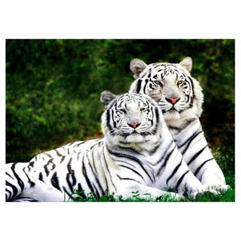 Full Drill - 5D DIY Diamond Painting Kits Animal Tigers 