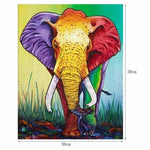 Full Drill - 5D DIY Diamond Painting Kits Artistic Colorful 