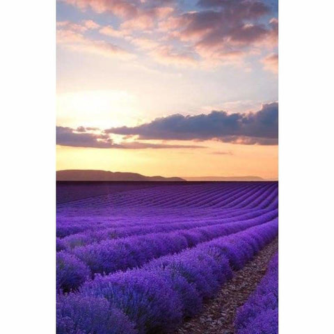 Full Drill - 5D DIY Diamond Painting Kits Beautiful Lavender