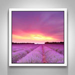 Full Drill - 5D DIY Diamond Painting Kits Beautiful Sunset 