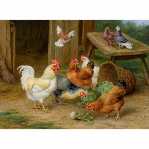 Full Drill - 5D DIY Diamond Painting Kits Cartoon Farm Cocks