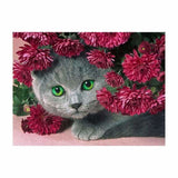 Full Drill - 5D DIY Diamond Painting Kits Cartoon Lovely Cat