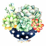 Full Drill - 5D DIY Diamond Painting Kits Cartoon Succulent Pot - NEEDLEWORK KITS