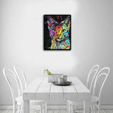 Full Drill - 5D DIY Diamond Painting Kits Colorful Cute Cat 