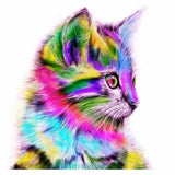 Full Drill - 5D DIY Diamond Painting Kits Colorful Cute Cat