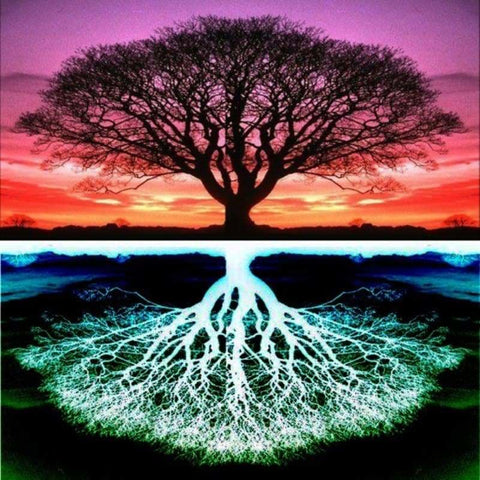 Full Drill - 5D DIY Diamond Painting Kits Colorful Fantasy 