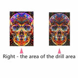 Full Drill - 5D DIY Diamond Painting Kits Colorful Fire 