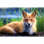 Full Drill - 5D DIY Diamond Painting Kits Cute Fox - 5