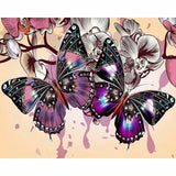 Full Drill - 5D DIY Diamond Painting Kits Dream Colorful 