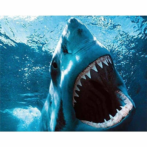 Full Drill - 5D DIY Diamond Painting Kits Fierce Shark - 2