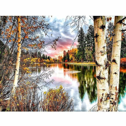 Full Drill - 5D DIY Diamond Painting Kits Landscapes White Birch - NEEDLEWORK KITS